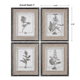 Wall Art Casual Grey Study Framed Art Set/4