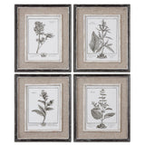 Wall Art Casual Grey Study Framed Art Set/4