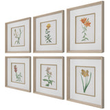 Wall Art Classic Botanicals Framed Prints Set/6