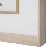 Wall Art Classic Botanicals Framed Prints Set/6