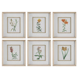 Wall Art Classic Botanicals Framed Prints Set/6