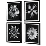 Wall Art Contemporary Floret Framed Prints, S/4