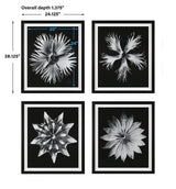 Wall Art Contemporary Floret Framed Prints, S/4