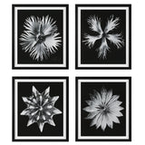Wall Art Contemporary Floret Framed Prints, S/4