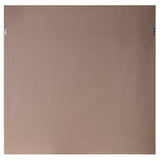 Wall Art Dandelion Seedhead Framed Print