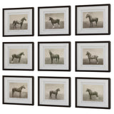Wall Art Equine Dynasty Framed Prints // Set of 9