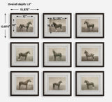 Wall Art Equine Dynasty Framed Prints // Set of 9