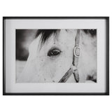 Wall Art Eye Of The Beholder Framed Print