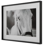 Wall Art Eyes On The Prize Framed Print
