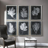 Wall Art Foliage Framed Prints, S/6