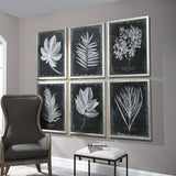 Wall Art Foliage Framed Prints, S/6