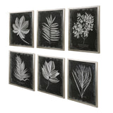 Wall Art Foliage Framed Prints, S/6