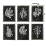 Wall Art Foliage Framed Prints, S/6