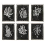 Wall Art Foliage Framed Prints, S/6