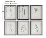 Wall Art Forest Finds Framed Prints, S/6