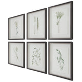 Wall Art Forest Finds Framed Prints, S/6