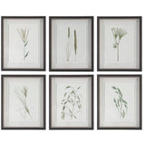 Wall Art Forest Finds Framed Prints, S/6