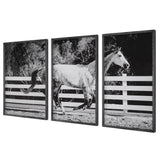 Wall Art Galloping Forward Equine Prints, Set/3