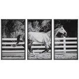Wall Art Galloping Forward Equine Prints, Set/3