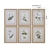 Wall Art Green Floral Botanical Study Prints S/6