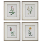 Wall Art Heirloom Blooms Study Framed Prints Set/4