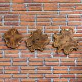 Wall Art Kalani Teak Wall Art Set/3