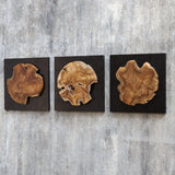 Wall Art Kolini Teak Wood Wall Decor, S/3