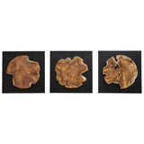 Wall Art Kolini Teak Wood Wall Decor, S/3
