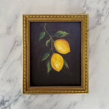 Wall Art Lemon No. 5 Art Print // 8" x 10" 8" x 10"