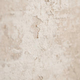 Wall Art Local Artist Original Painting // "Subtlety"