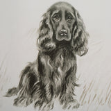 Wall Art Loyal Companion Framed Dog Prints // Set of 9