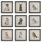 Wall Art Loyal Companion Framed Dog Prints // Set of 9