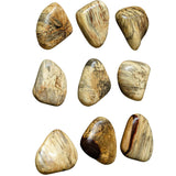 Wall Art Pebbles Blonde Wood Wall D残or, S/9