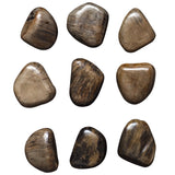 Wall Art Pebbles Walnut Wood Wall D残or, S/9