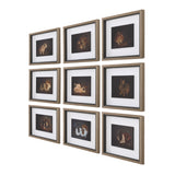 Wall Art Resting Bunny Framed Prints // Set of 9