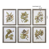 Wall Art Seedlings Framed Prints S/6