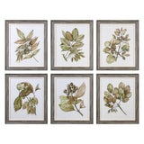Wall Art Seedlings Framed Prints S/6