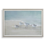 Wall Art Tranquil Shorebirds On The Sand Framed Print