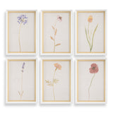 Wall Art Wild Flourish Framed Floral Prints // Set of 6