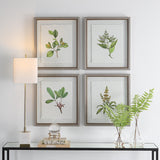 Wall Art Wildflower Study Framed Prints, S/4