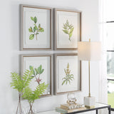 Wall Art Wildflower Study Framed Prints, S/4