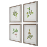 Wall Art Wildflower Study Framed Prints, S/4