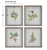 Wall Art Wildflower Study Framed Prints, S/4