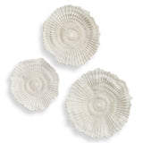 Wall Decor Ocean Gems Coral Wall Decor // Set of 3