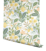 Wallpaper Amalfi Peel & Stick Wallpaper // Pink & Green