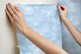 Wallpaper Atrium Clouds Peel & Stick Wallpaper // Blue
