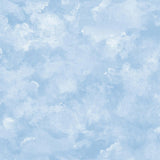 Wallpaper Atrium Clouds Peel & Stick Wallpaper // Blue