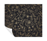 Wallpaper Aviary Peel & Stick Wallpaper // Black & Gold