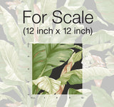 Wallpaper Banana Leaf Peel & Stick Wallpaper // Black & Green