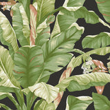 Wallpaper Banana Leaf Peel & Stick Wallpaper // Black & Green